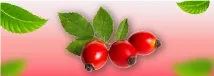 Aceite de rosa mosqueta