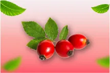 Sérum de rosa mosqueta