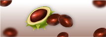 aceite_castaño_de_indias