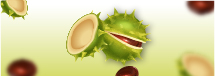 aceite_ricino