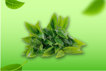 agua_micelar_te_verde