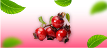 gel_guarana
